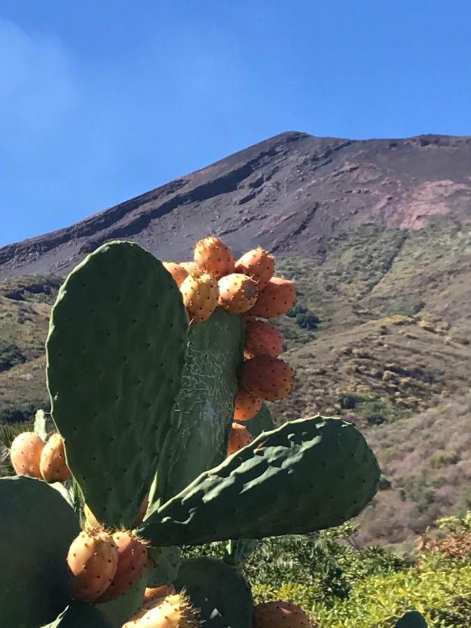 Il Sassolino Stromboli Zewnętrze zdjęcie